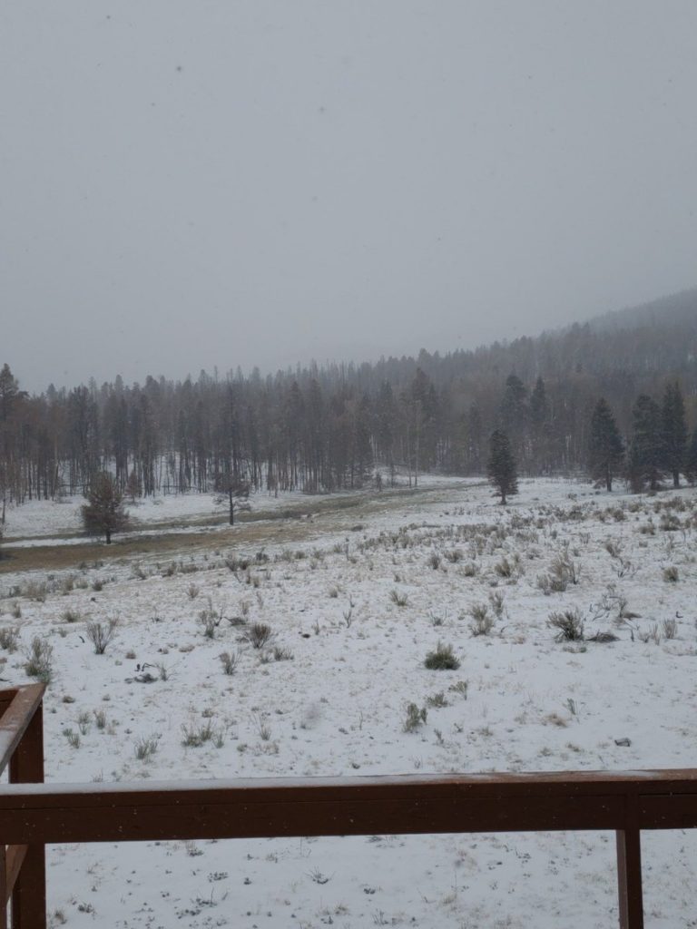 tempesta neve usa