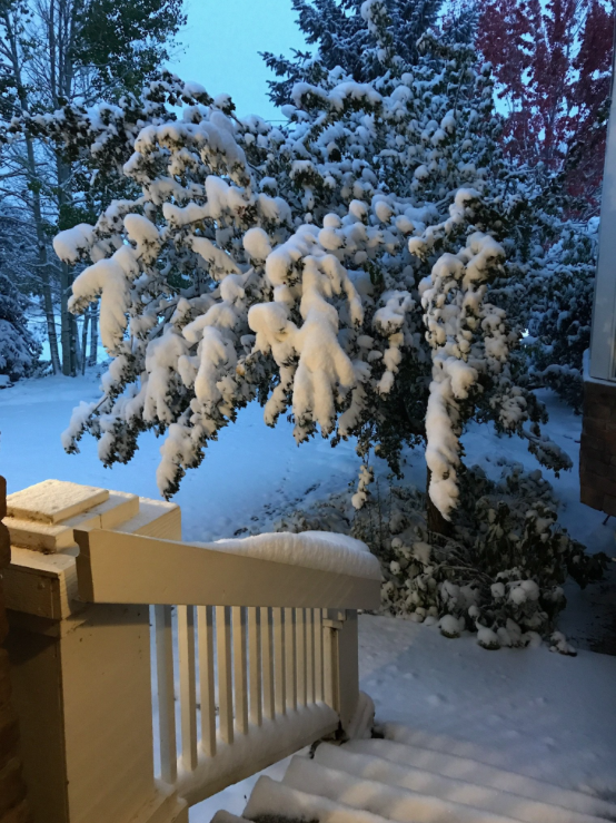 tempesta neve usa