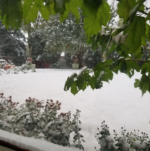 tempesta neve usa