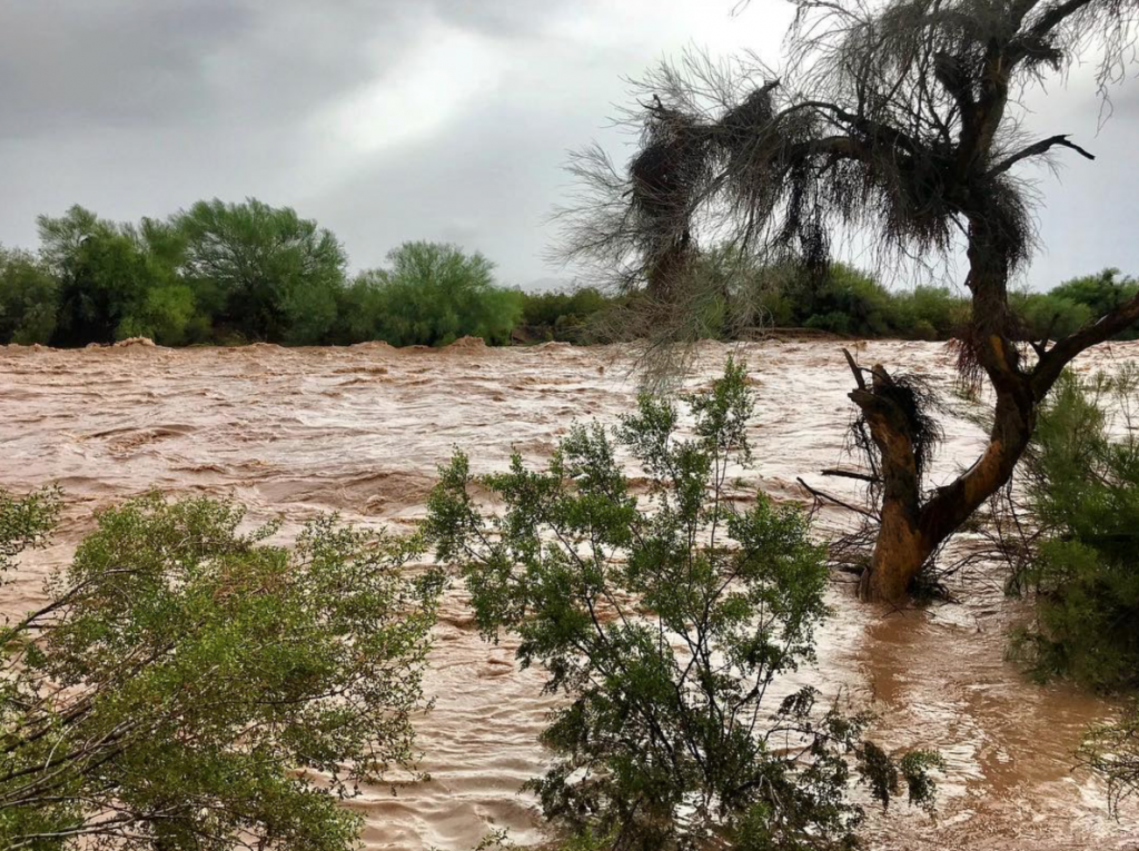 tempesta tropicale rosa arizona usa
