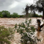 Tempesta tropicale Rosa: almeno una vittima in Messico, caos e alluvioni anche negli USA con 50mm di pioggia in poche ore [GALLERY]