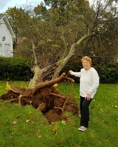 tempeste tornado massachusetts rhode island
