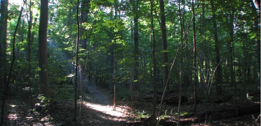terra respira québec