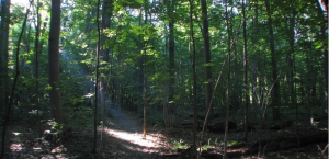 terra respira québec