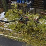 Maltempo USA: 8 morti nell’Est, bufera di neve su New York [GALLERY]