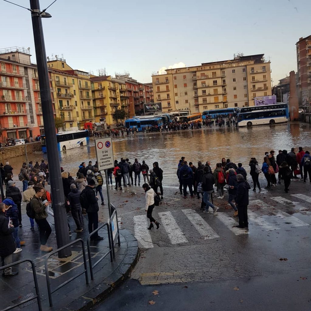 Avellino