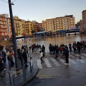 Avellino