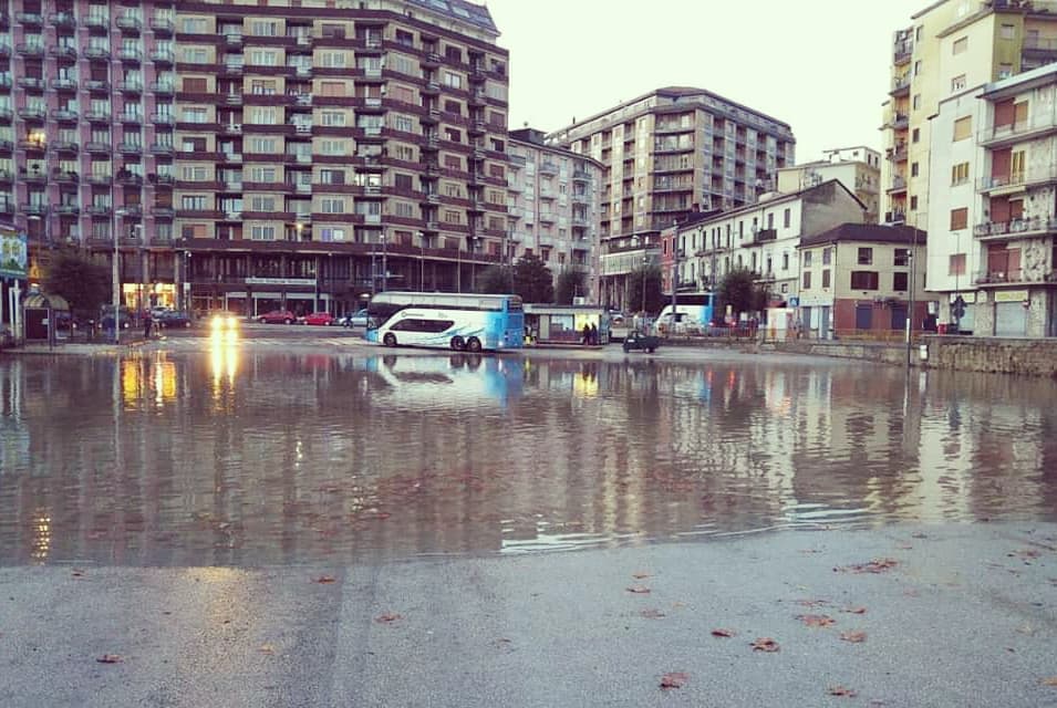 Avellino
