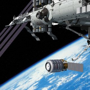 Cygnus