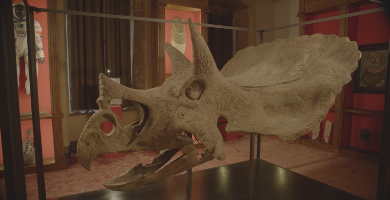 Dinosaurs film documentario