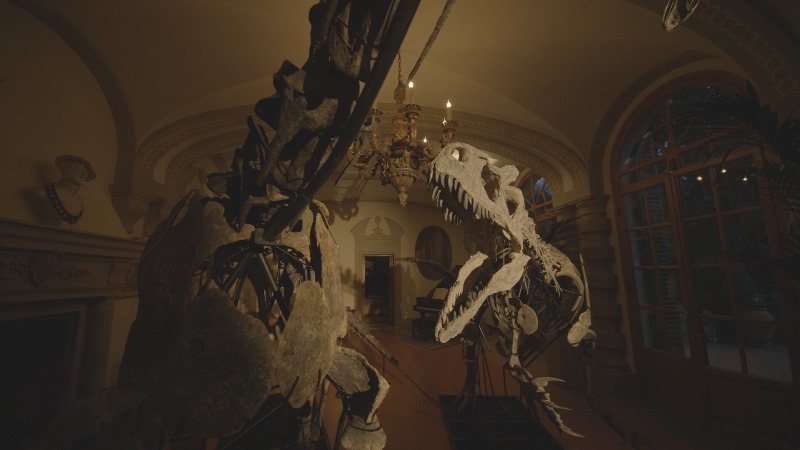 Dinosaurs film documentario
