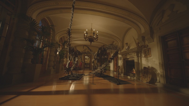 Dinosaurs film documentario