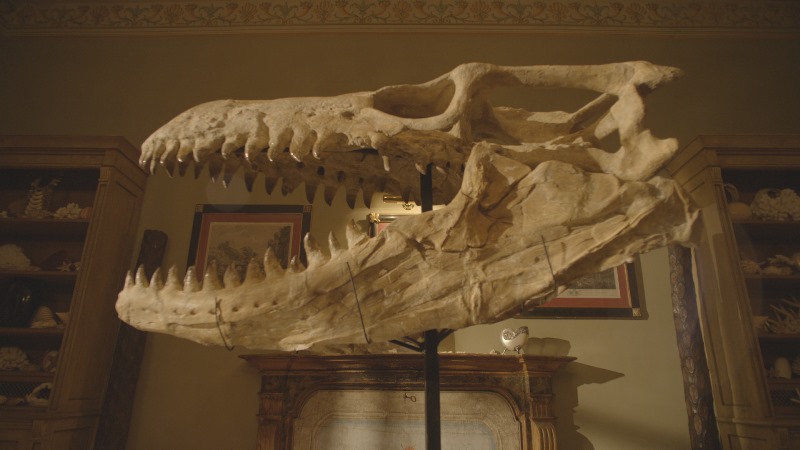 Dinosaurs film documentario