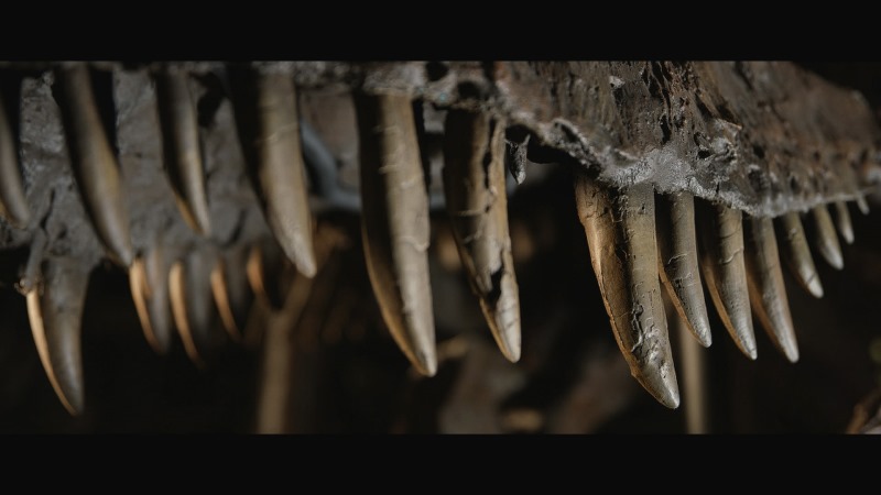 Dinosaurs film documentario