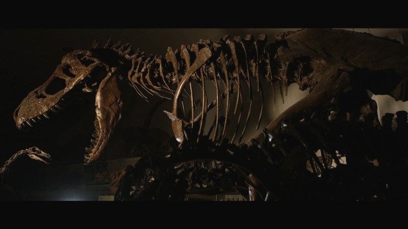 Dinosaurs film documentario