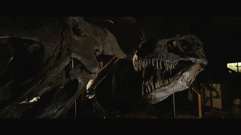 Dinosaurs film documentario