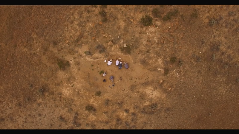 Dinosaurs film documentario