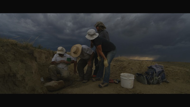 Dinosaurs film documentario