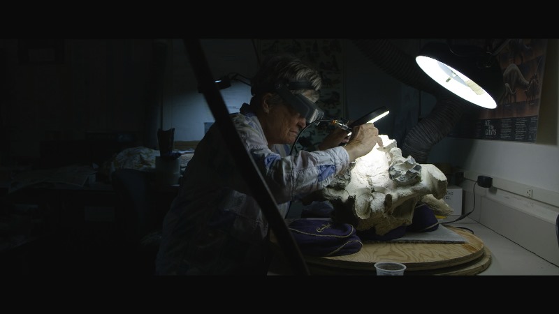 Dinosaurs film documentario