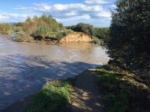 L'onda di piena del fiume Crati