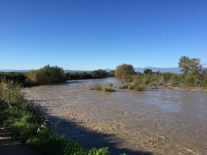 L'onda di piena del fiume Crati