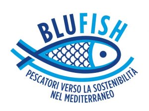 MSC Blufish