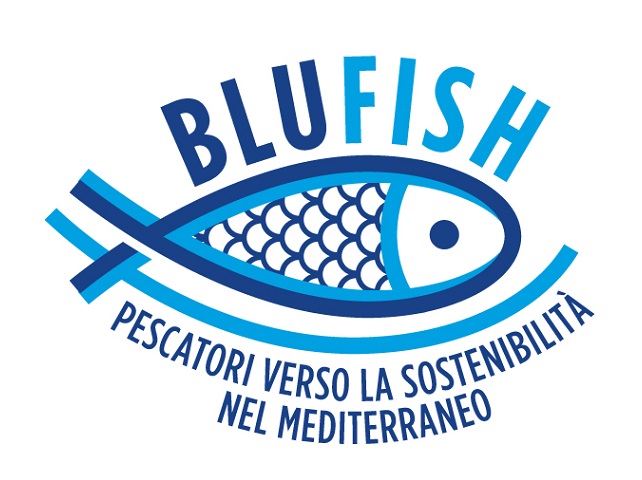 MSC Blufish