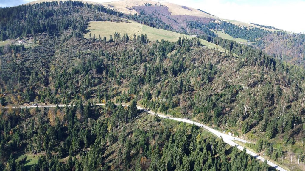 Maltempo, la devastazione dell’Altopiano di Asiago: vedute dall’elicotteroMaltempo, la devastazione dell’Altopiano di Asiago: vedute dall’elicottero