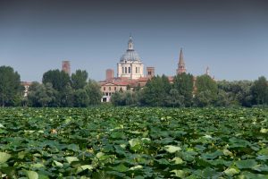 Mantova 2018 World Forum on Urban Forests