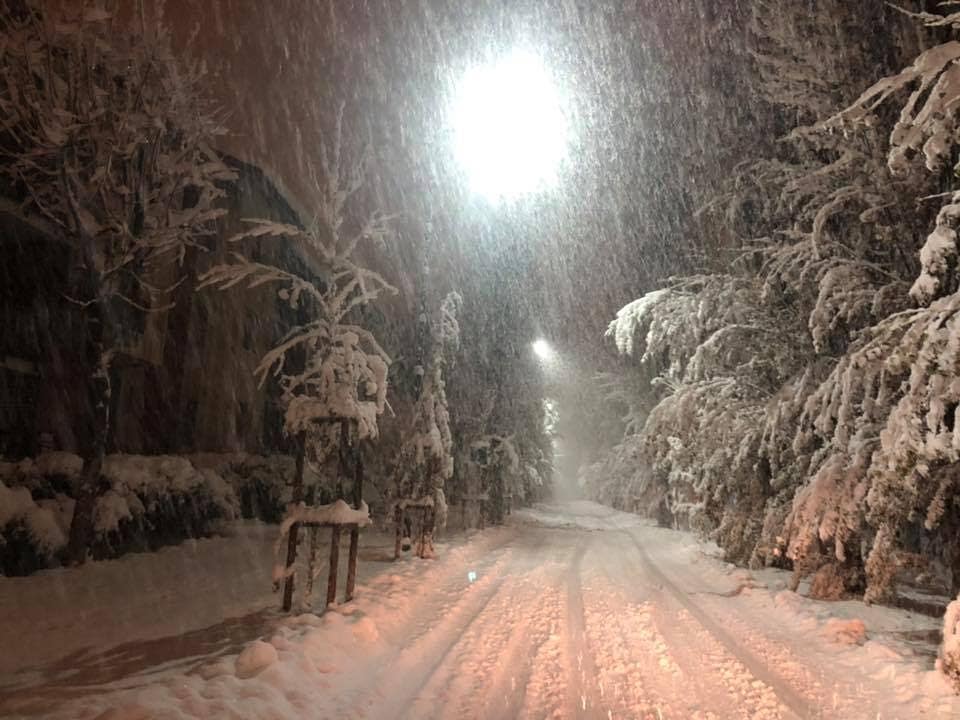 bardonecchia neve