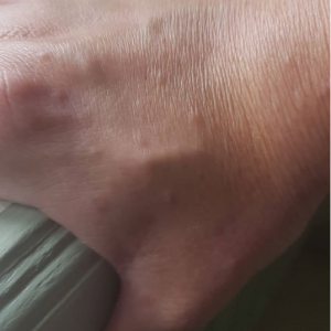 chip mani svezia