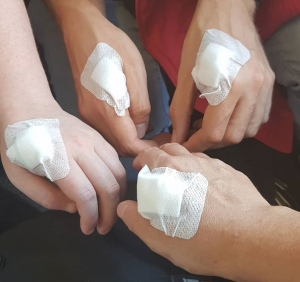 chip mani svezia