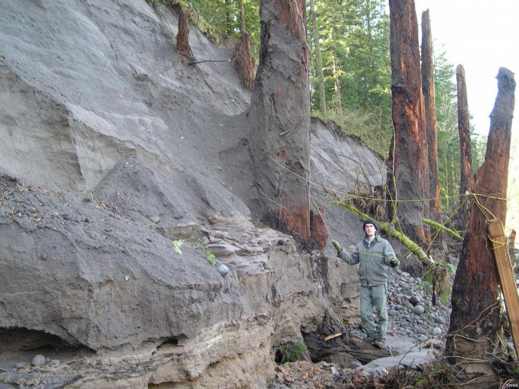 foreste fantasma USA