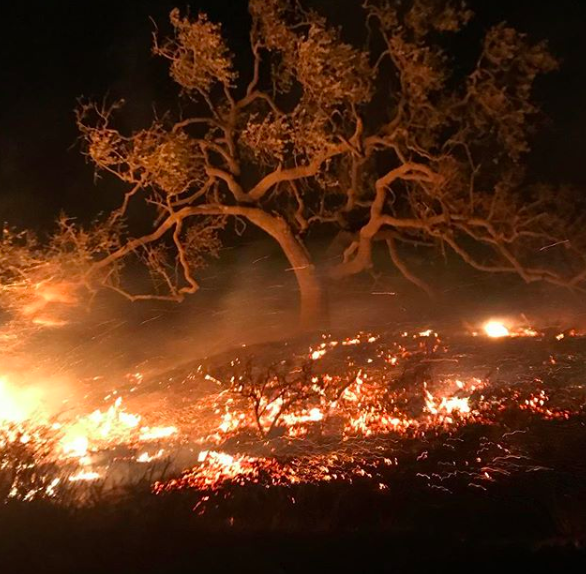 incendi california