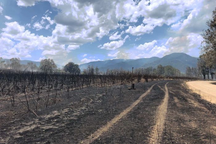 incendi queensland australia