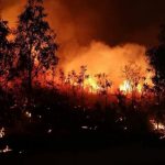 Australia, Queensland in ginocchio per 138 incendi: “La gente brucerà fino alla morte. È come un ciclone di 5ª categoria diretto proprio verso la vostra porta” [FOTO]