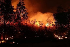 incendi queensland australia