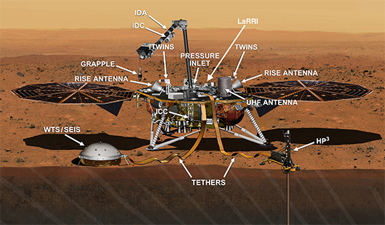 insight larri