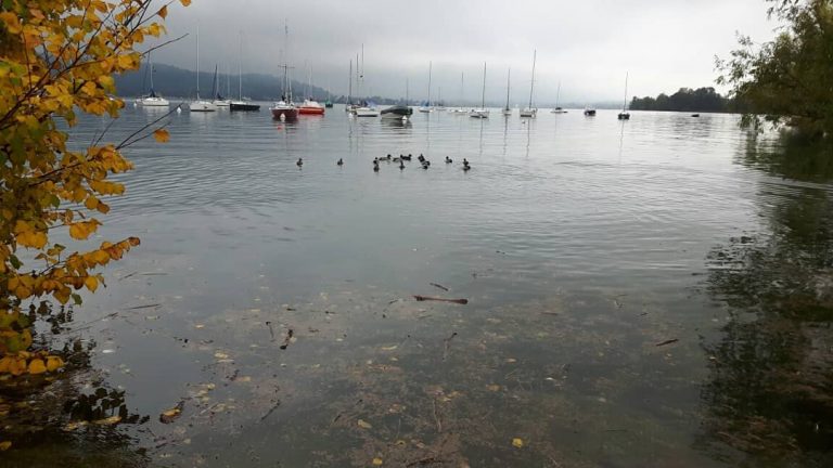 Il Lago Maggiore ai limiti dell'esondazione: il livello dell'acqua continua a salire