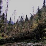 Maltempo sulle Alpi, valli distrutte dalla “Tempesta delle Dolomiti”: immagini SHOCK dalla Gola dei Serrai di Sottoguda e dalla Valle di San Lucano [FOTO]