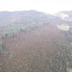 Allerta Meteo e Neve, l’esperto: “alto rischio valanghe nei boschi distrutti dal maltempo”