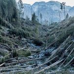 Allerta Meteo e Neve, l’esperto: “alto rischio valanghe nei boschi distrutti dal maltempo”