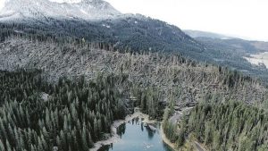 maltempo trentino alberi abbattuti