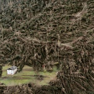 maltempo trentino alberi abbattuti