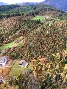 maltempo trentino alberi abbattuti