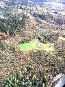 maltempo trentino alberi abbattuti