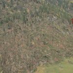 Maltempo: abbattuti 14 milioni di alberi, a rischio l’equilibrio ambientale