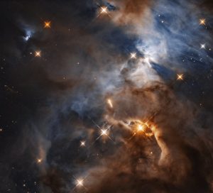 nebulosa serpente ombra del pipistrello