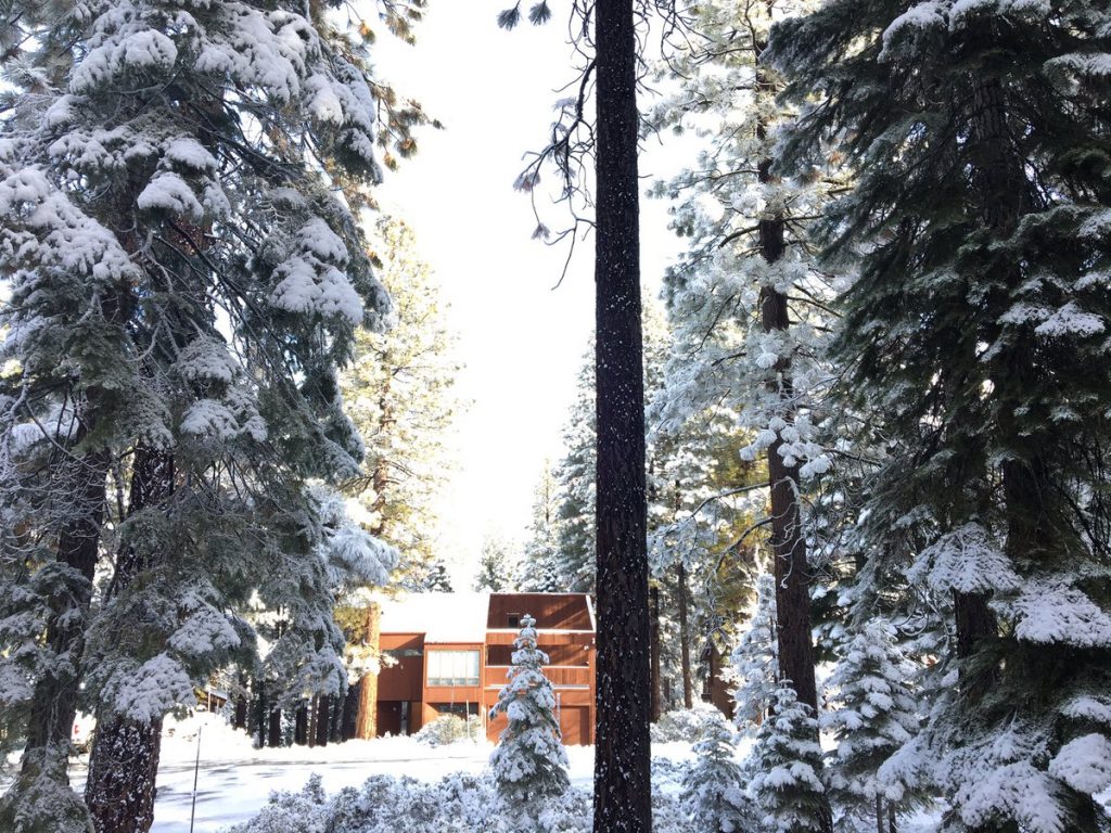 giorno del ringraziamento neve usa