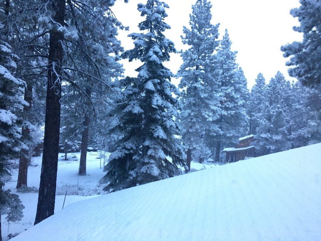 giorno del ringraziamento neve usa